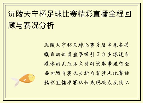 沅陵天宁杯足球比赛精彩直播全程回顾与赛况分析
